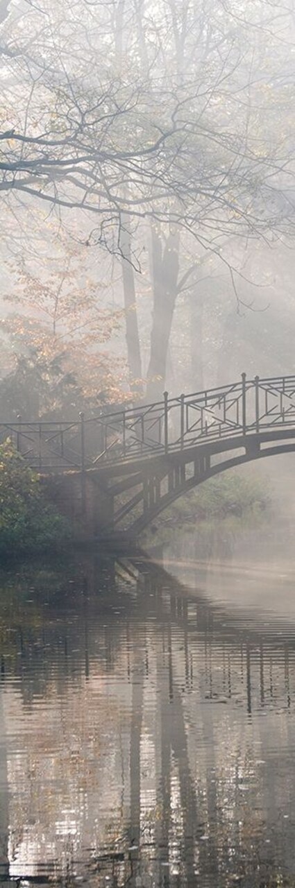 Bridge in the Mist I Poster Print by Anonymous Anonymous - Item # VARPDXFAF534